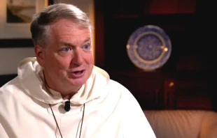 Archbishop Anthony Fisher of Sydney spoke to EWTN on the occasion of the Synod on Synodality. Credit: EWTN News