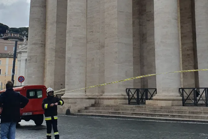 A cat is stranded in the colonnade surrounding St. Peter’s Square