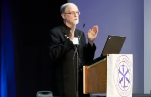 Father Paul Sullins, PhD, is a senior research associate at the Ruth Institute and a retired professor of sociology at the Catholic University of America in Washington, D.C. Credit: The Ruth Institute