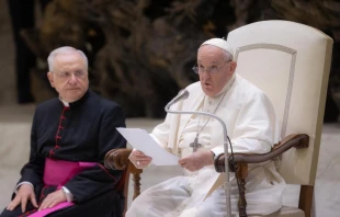 Pope Francis speaks about World Youth Day in Lisbon, Portugal, during his weekly Wednesday audience in the Paul VI Hall Aug. 9, 2023. Daniel Ibanez/CNA