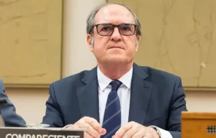 Spanish Ombudsman Ángel Gabilondo “warned” that in Madrid abortions are not performed in public hospitals, a situation that “should be subject to analysis.” Credit: Congress of Deputies (Spain)