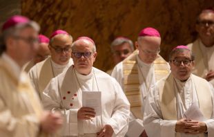 German bishops in Rome on Nov. 17, 2022. Credit: Daniel Ibáñez/CNA