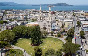 An aerial view of Washington Square in San Francisco on May 22, 2020. Credit: JOSH EDELSON/AFP via Getty Images
