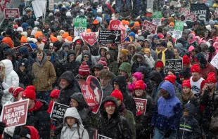 Thousands participate in the March For Life in Washington, D.C., on Jan. 19, 2024. Credit: ROBERTO SCHMIDT/AFP via Getty Images