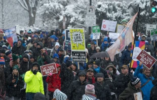 Demonstrators participate in the March for Life in Washington, D.C. on Jan. 19, 2024. Credit: ROBERTO SCHMIDT/AFP via Getty Images