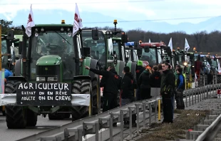 French farmers stand next to their tractors as they block the road during a demonstration at the French-German border in Ottmarsheim, eastern France, on Feb. 1, 2024, as part of nationwide protests called by several farmers’ unions over pay, tax, and regulations. Credit: PATRICK HERTZOG/AFP via Getty Images