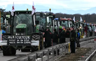 French farmers stand next to their tractors as they block the road during a demonstration at the French-German border in Ottmarsheim, eastern France, on Feb. 1, 2024, as part of nationwide protests called by several farmers’ unions over pay, tax, and regulations. Credit: PATRICK HERTZOG/AFP via Getty Images