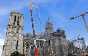 The new golden rooster is seen atop of Notre-Dame de Paris cathedral on Feb. 13, 2024, in Paris. Credit: Chesnot/Getty Images