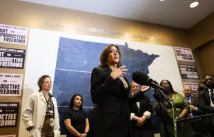 Vice President Kamala Harris speaks during her visit to a Planned Parenthood clinic in St. Paul, Minnesota, on March 14, 2024. Credit: STEPHEN MATUREN/AFP via Getty Images