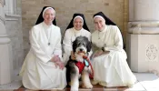 Gia, an 8-month-old Bernedoodle, visits Sacred Heart of Jesus School in Baton Rouge twice a week with a group of Mercedarian Sisters of the Blessed Sacrament.
