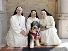 Gia, an 8-month-old Bernedoodle, visits Sacred Heart of Jesus School in Baton Rouge twice a week with a group of Mercedarian Sisters of the Blessed Sacrament.