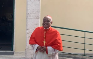 Cardinal Wilton Gregory of Washington, D.C. Credit: Courtney Mares