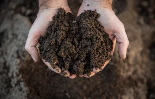 null Credit: Martchan/Shutterstock