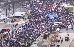 Students for Life of America estimates that about 150,000 people attended the March for Life in Washington, D.C., on Jan. 21, 2022, based an analysis of a video of the marchers. Screen shot of Students for Life of America video