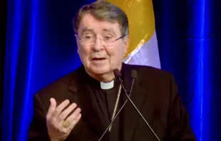 Cardinal Christophe Pierre, the Vatican's nuncio to the United States, speaks to the U.S. bishops at their annual fall assembly in Baltimore on Nov. 14, 2023. Credit: Screenshot of USCCB livestream