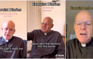 Monsignor Stephen Rossetti has already gained thousands of followers on social media after sharing the wisdom he has gained as an exorcist on online platforms. Monsignor Stephen Rossetti on TikTok