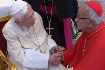 Cardinals visit Benedict