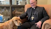 Bishop James Conley of the Diocese of Lincoln credits the support of friends, family, medical professionals, and his golden retriever, Stella, with his recovery from mental illness.