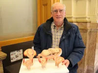 Dr. Tom Perille, a retired physician and president of the Democrats for Life of Colorado, holding a model showing preborn babies at various stages of development. Perille planned to testify against an abortion bill at the Colorado state capitol on March 9, 2022.