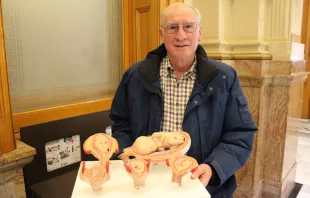 Dr. Tom Perille, a retired physician and president of the Democrats for Life of Colorado, holding a model showing preborn babies at various stages of development. Perille planned to testify against an abortion bill at the Colorado state capitol on March 9, 2022. Jonah McKeown/CNA