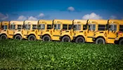 A summer day with a row of school buses stands out in the green farmlands.