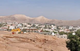 A view of modern-day Jericho, the site of a recently uncovered sixth-century church. Tamar Hayardeni|Wikimedia Commons|GFDL