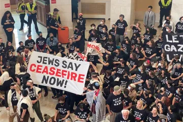Jewish protestors