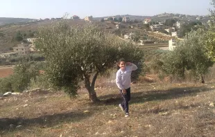 Olive harvest season in the southern border town of Rmeish, Lebanon, in the midst of a crisis situation. Credit: Rmeish’s Facebook page