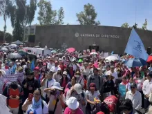 Thousands of people demonstrated in front of the Congress of the Union, Mexico’s federal legislature, demanding that lawmakers draft and pass laws protecting the true rights of Mexican women and children.