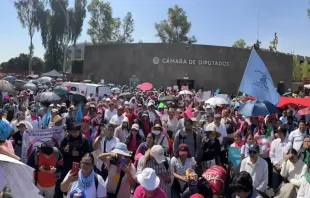 Thousands of people demonstrated in front of the Congress of the Union, Mexico’s federal legislature, demanding that lawmakers draft and pass laws protecting the true rights of Mexican women and children. Credit: National Front for the Family