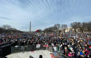 Tens of thousands gathered for a pre-march rally and concert at the National Mall for the 2022 March for Life in Washington, D.C. Katie Yoder/CNA