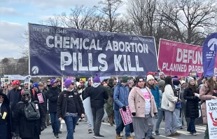 Members of Students for Liberty protest chemical abortions at March for Life, Jan. 24, 2025. Credit: Tyler Arnold/CNA