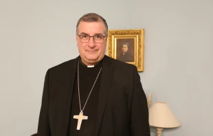 Bishop Jean-Marc Micas of Tarbes and Lourdes. Credit: Courtney Mares/CNA
