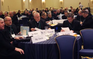 The U.S. bishops met in Baltimore for their annual fall general assembly on Nov. 14-17, 2022. Credit: Katie Yoder/CNA