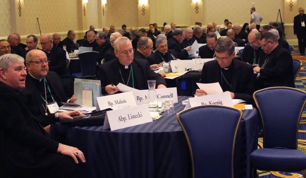 The U.S. bishops met in Baltimore for their annual fall general assembly on Nov. 14-17. Katie Yoder