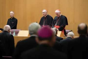 Facing the German bishops in Rom