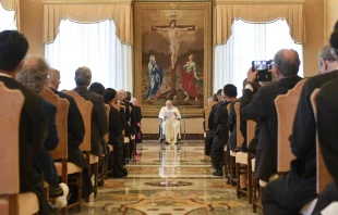Pope Francis met with members of the De La Salle Christian Brothers on May 21, 2022. Vatican Media