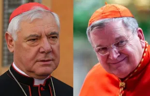 German Cardinal Gerhard Müller (left) and American Cardinal Raymond Burke. Credit: Daniel Ibañez/CNA