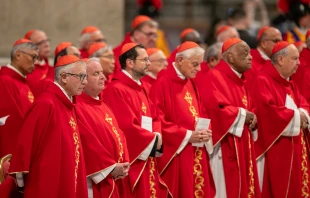 Cardinals participate in the fifth Novendiales Mass for Pope Francis on April 30, 2025, in St. Peter’s Basilica at the Vatican. Credit: Daniel Ibañez/CNA