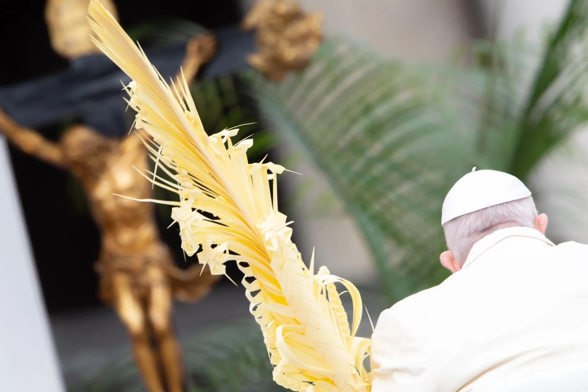 Pope Francis presided over Palm Sunday Mass in St. Peter's Square on April 2, 2023.?w=200&h=150