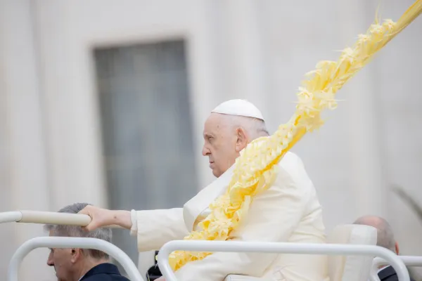 Pope Francis presided over Palm Sunday Mass in St. Peter's Square on April 2, 2023. Daniel Ibanez/CNA