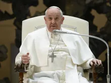 Pope Francis addresses the faithful at his Wednesday general audience on Feb. 28, 2024.