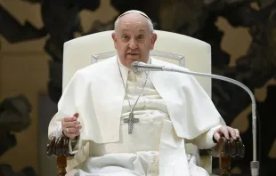 Pope Francis addresses the faithful at his Wednesday general audience on Feb. 28, 2024. Credit: Vatican Media