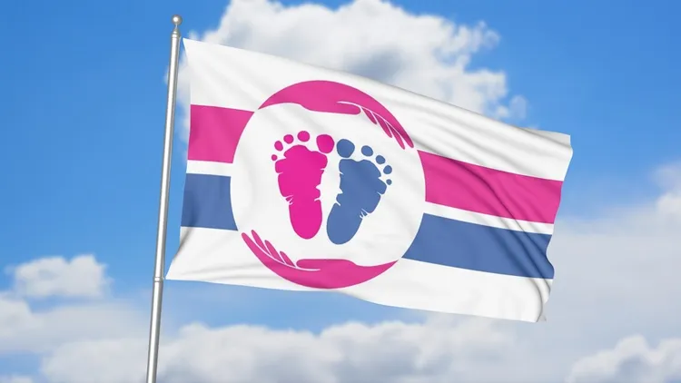 The pro-life flag from the Pro-Life Flag Project (www.prolifeflag.com).?w=200&h=150