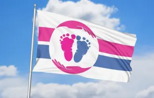 The pro-life flag from the Pro-Life Flag Project (www.prolifeflag.com). Credit: Pro-Life Flag Project (www.prolifeflag.com)