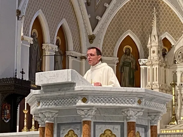 Bishop Robert Reed, Auxiliary Bishop of Boston, preaches at the Mass in Boston.