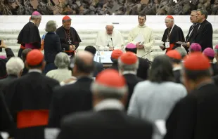 Pope Francis thanks the delegates at the conclusion of the 2023 Synod on Synodality. Credit: Vatican Media