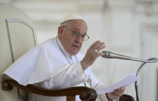 Pope Francis at his Wednesday general audience in St. Peter’s Square on May 31, 2023. Vatican Media
