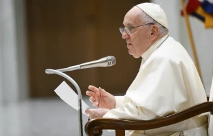 Pope Francis speaks at the general audience on Aug. 23, 2023. Vatican Media