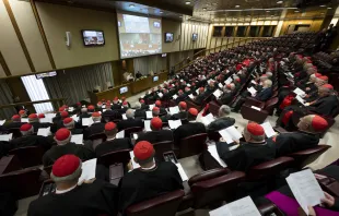 The extraordinary consistory of cardinals meets at the Vatican's Synod Hall, Aug. 29, 2022. Vatican Media